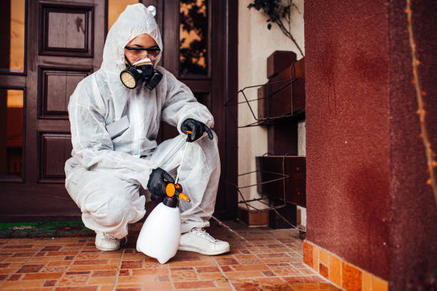 Reliable Cockroach Control contractor in Manor, TX by Nex Pest Control